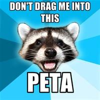 Lame Pun Coon