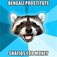 Lame Pun Coon