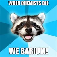 Lame Pun Coon