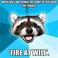 Lame Pun Coon