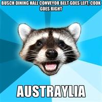 Lame Pun Coon
