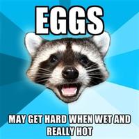 Lame Pun Coon