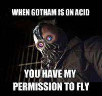 When Gotham is Ashes, You Have My Permission to Die
