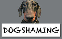 Dogshaming