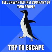 Socially Awkward Penguin