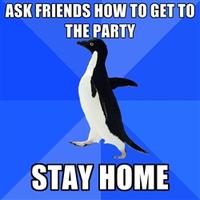 Socially Awkward Penguin