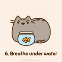 Pusheen