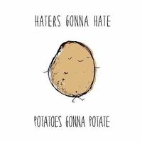 Haters Gonna Hate
