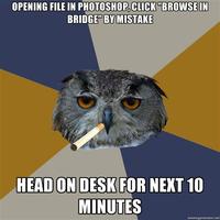 Art Student Owl