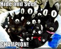 Cats