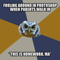 Art Student Owl
