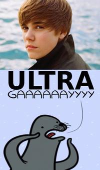 Homophobic Seal