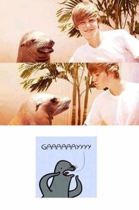 Homophobic Seal