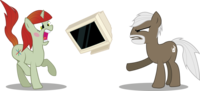 Dr. Hax