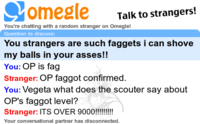 OP is a Faggot