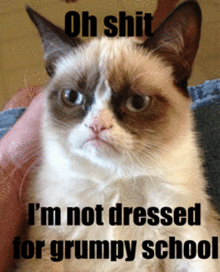 Grumpy Cat