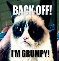 Grumpy Cat