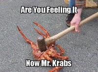SpongeBob SquarePants