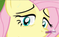 Pony Reactions