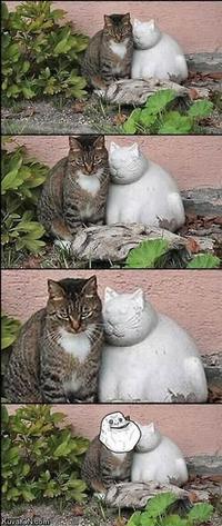 Forever Alone