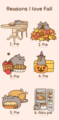 Pusheen