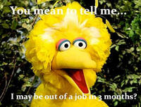 Fired Big Bird / Mitt Romney Hates Big Bird