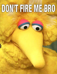 Fired Big Bird / Mitt Romney Hates Big Bird