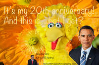 Fired Big Bird / Mitt Romney Hates Big Bird