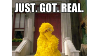 Fired Big Bird / Mitt Romney Hates Big Bird