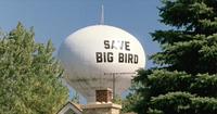 Fired Big Bird / Mitt Romney Hates Big Bird