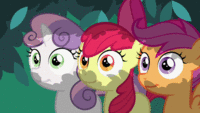 Pony Reactions