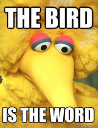 Fired Big Bird / Mitt Romney Hates Big Bird