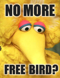 Fired Big Bird / Mitt Romney Hates Big Bird