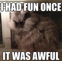 Colonel Meow