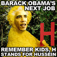 Fired Big Bird / Mitt Romney Hates Big Bird