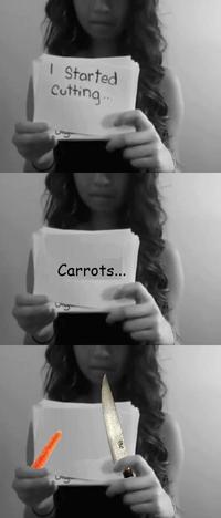 Amanda Todd's Death