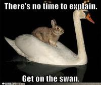 There's No Time To Explain