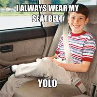 YOLO