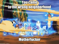You Came to the Wrong Neighborhood