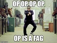 OP is a Faggot