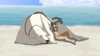 Avatar: The Last Airbender / The Legend of Korra