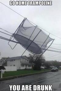 Go Home, You Are Drunk