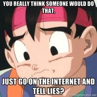 Just go on the internet and tell lies?