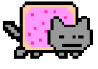Nyan Cat / Pop Tart Cat