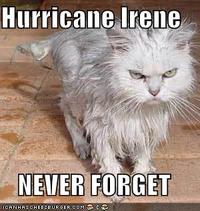 Never Forget