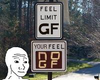 I Know That Feel Bro