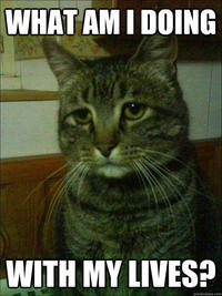 LOLcats