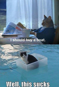 I Should Buy a Boat Cat