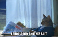 I Should Buy a Boat Cat
