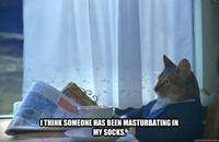 I Should Buy a Boat Cat